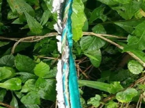 Image result for 3D Vision System Cables Insection