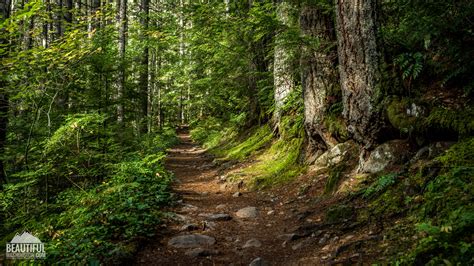 Granite Mountain Trail