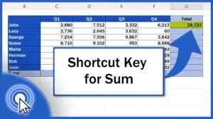 Excel Shortcut How to Sum 的图像结果