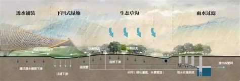 上海雨水收集利用系统现状分析-建东海绵城市