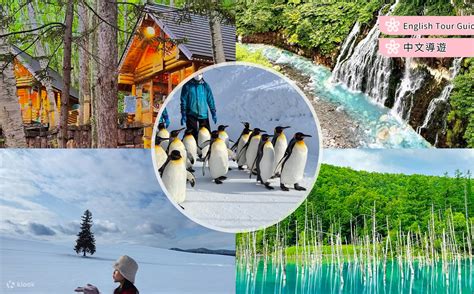 Online reservation for one-day tour of Hokkaido's popular attractions ...