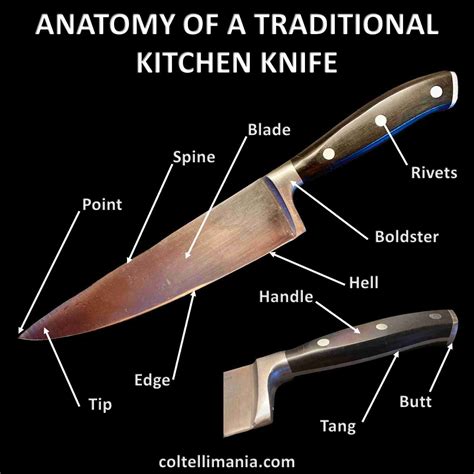 Anatomy of a traditional kitchen knife - coltellimania.com