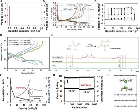 Image result for Graphite Pencil Drawing Tree
