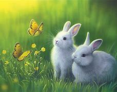 Image result for Spring Rabbit Art Prints