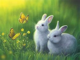 Image result for Bunny Artwork