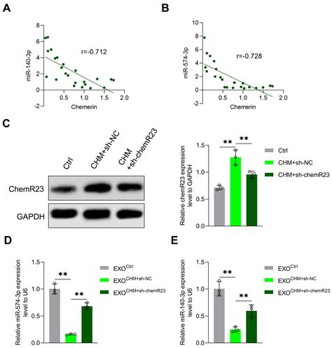 Chemerin-Induced Down-Regulation of Placenta-Derived Exosomal miR-140 ...