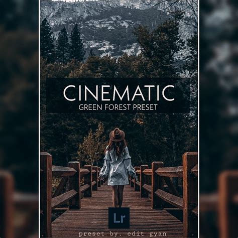 Cinematic Green Forest | Lightroom Mobile Free Preset Download DNG ...