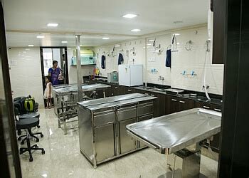 3 Best Veterinary Hospitals in Mumbai - Expert Recommendations