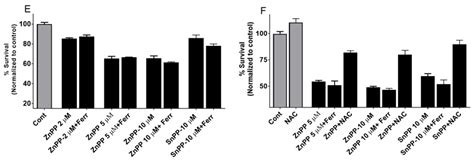 Heme Oxygenase-1 Inhibition Potentiates the Effects of Nab-Paclitaxel ...