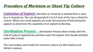 Image result for Tip Culture Methode Modification