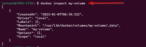 Image result for Docker MySQL Volume Mount
