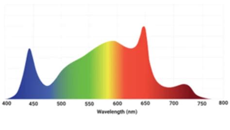 Image result for Daylight LED Spectrum