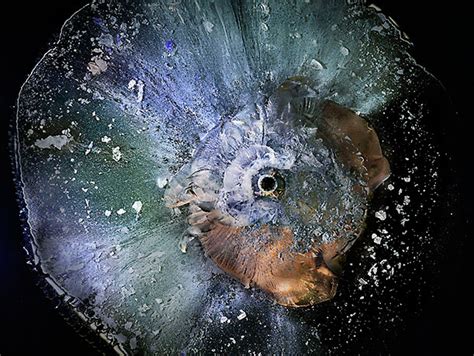 9Mm Exploding Ammo 的图像结果