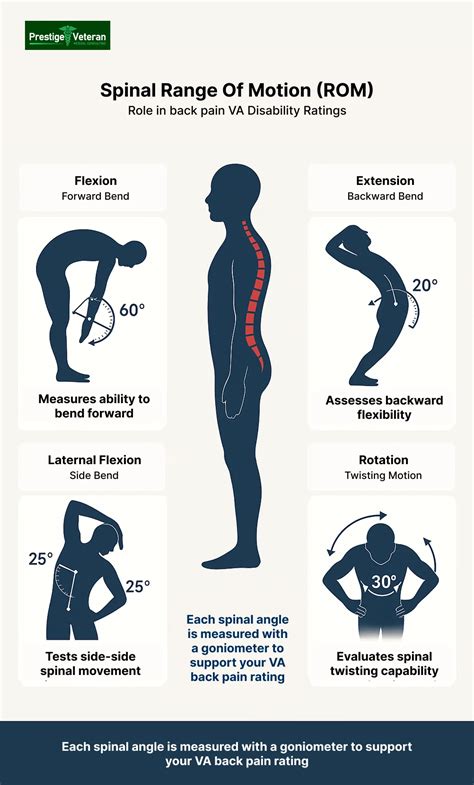 Back Pain and VA Claims: Securing Favorable Disability Ratings ...