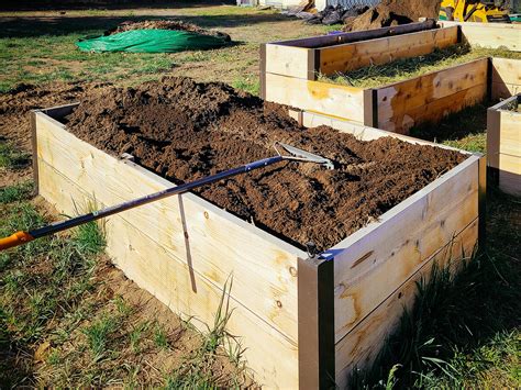 What To Do When There's Too Much Nitrogen In Your Soil - Garden Betty