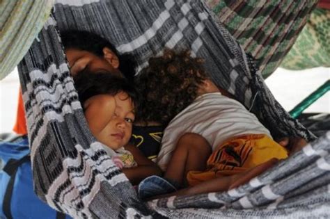 Mamiraua Reserve Images - Vacation Pictures of Mamiraua Reserve, AM ...