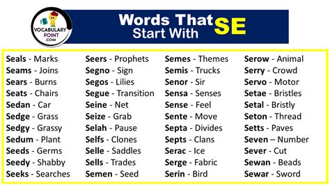 5 Letter Words That Start with SE - Vocabulary Point