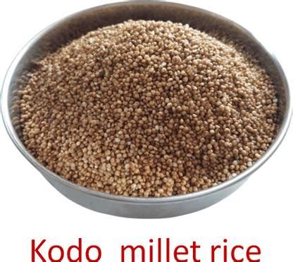 orea KODO MILLET RICE, UNPOLISHED KODEN / KODRA / ARIKELU / HARKA Kodo ...