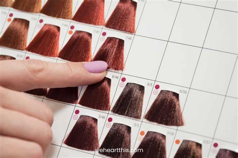 Image result for Color Wheel Lesson Tutorial Hair