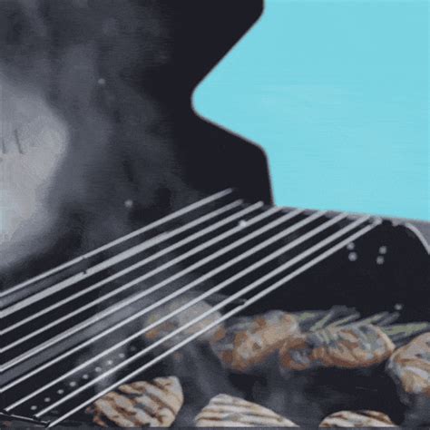 Charbroil Flavormax Performance Series Black 2 -Burner Liquid Propane ...