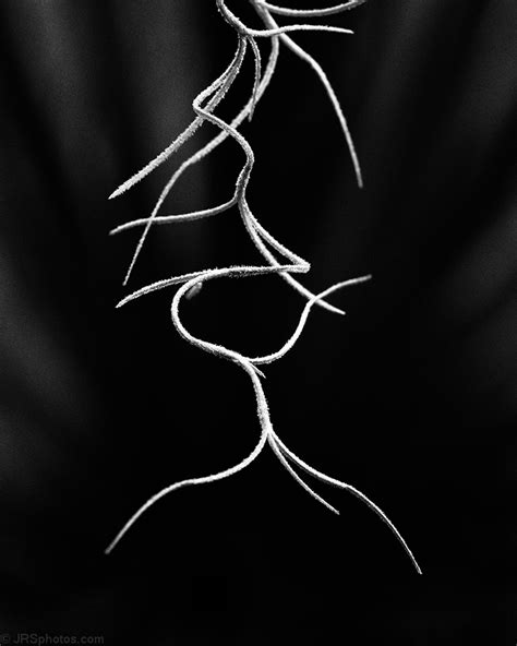 Image result for A Program for a Library Algorithm