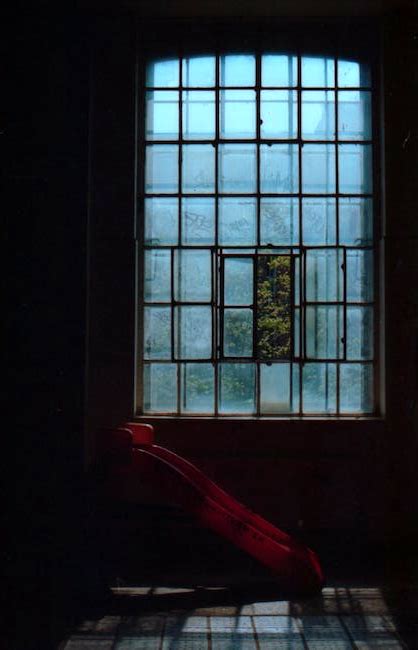 Best Squeegee for Windows 的图像结果