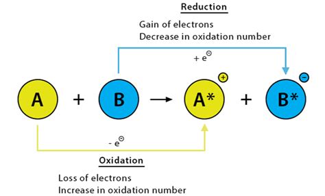 Chemical Reactions and Equations Class 10 Notes Science Chapter 1 Free PDF