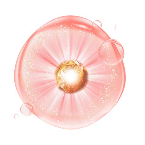 粒子 的图像结果