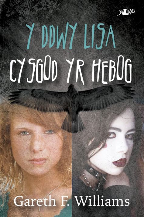 Y Ddwy Lisa - Cysgod yr Hebog (Welsh Edition) eBook : Williams, Gareth ...