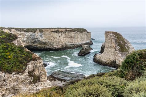 Shark Fin Cove in San Francisco 2024-2025 - Rove.me