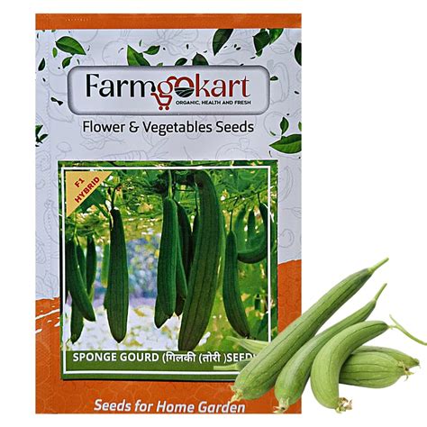 FARMGO 5 Gms SPONGE GOURD (CHIKNI TORU/GILKI) HYBRID F1 SEEDS ...
