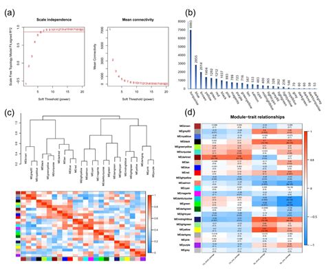 Morphological and Physiological Indicators and Transcriptome Analyses ...