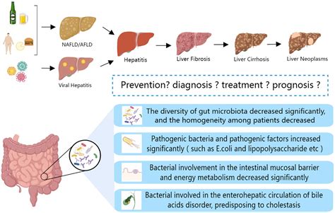Frontiers | The gut microbiota: A new perspective for tertiary prevention of hepatobiliary and ...