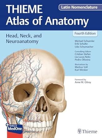 Buy Head, Neck, and Neuroanatomy (THIEME Atlas of Anatomy), Latin ...