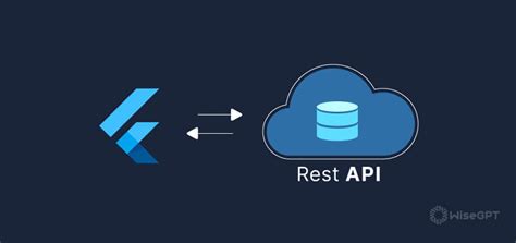 HTTP Flutter 的图像结果