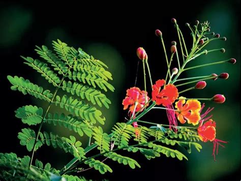 ‘Climate change has significant impacts on our health — children are ...