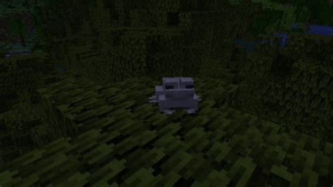 Image result for Minecraft Frog Biome Colors
