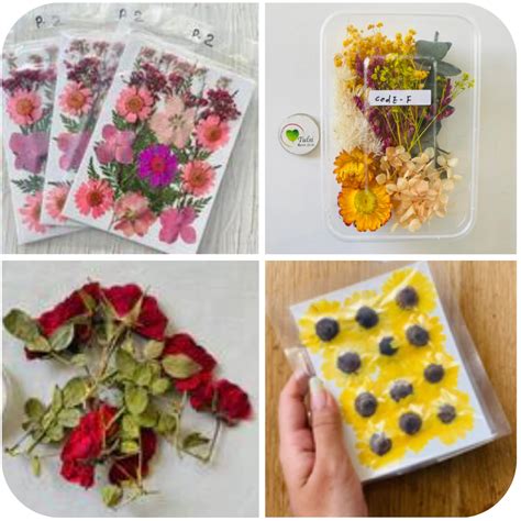 Buy Dry flowers for resin art - Tulsiresin – Tulsi Resin Store