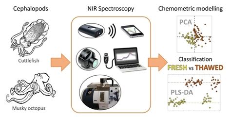 Differentiation between Fresh and Thawed Cephalopods Using NIR ...