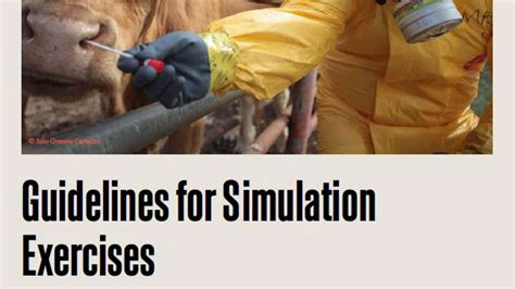Image result for Simulation Exercise