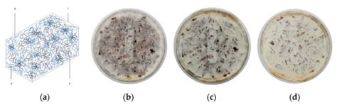 Exploring the Binding Capacity of Mycelium and Wood-Based Composites ...