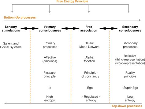 Free Association Examples