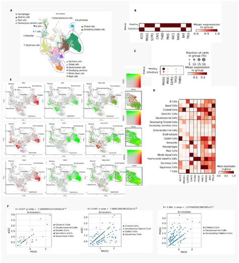 Downregulation of the Protein C Signaling System Is Associated with ...