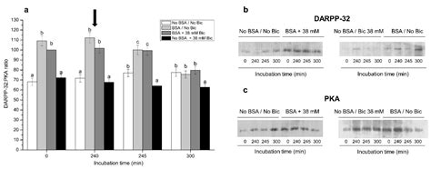 Exogenous Albumin Is Crucial for Pig Sperm to Elicit In Vitro ...