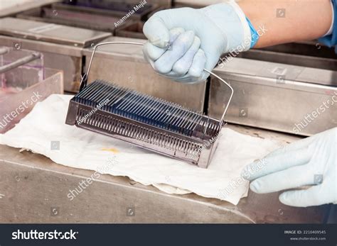 Microscope Slide 的图像结果