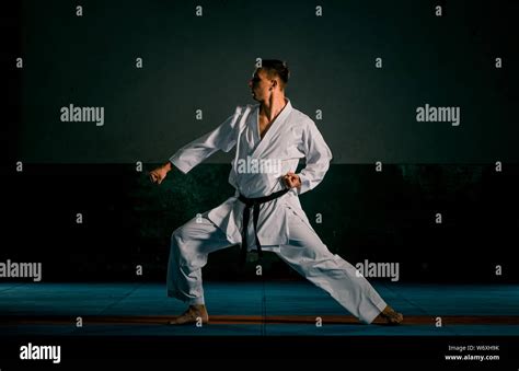 Karate 的图像结果