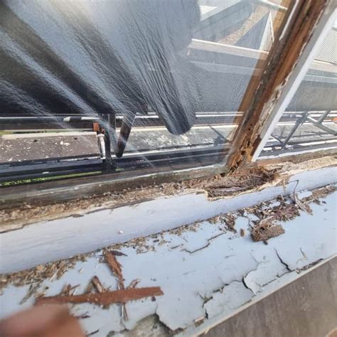 Image result for How to Restore Window Timber Frame