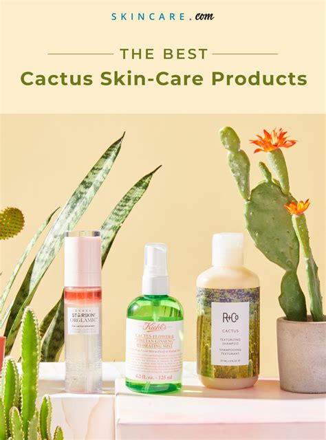 The Best Cactus Skin-Care Products | Skincare.com by L'Oréal | Skincare ...