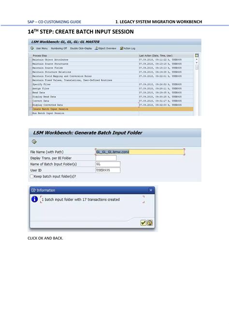 LSMW Step by Step Process 的图像结果