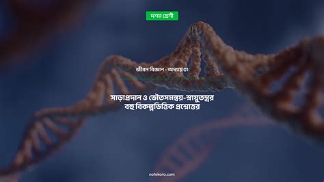 Image result for Model Activity Task Class 10 Class 10 Life Science October